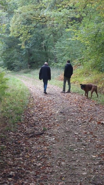 Deux marcheurs et un chien sur un sentier boisé